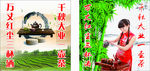 泡茶图片