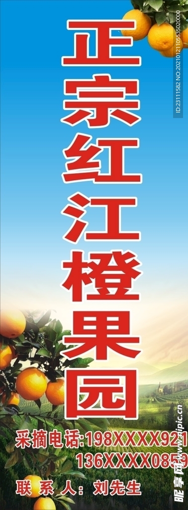 橙子海报