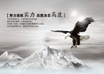 公司文化