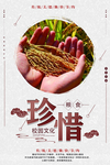 珍惜粮食