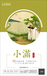 二十四节气小满海报