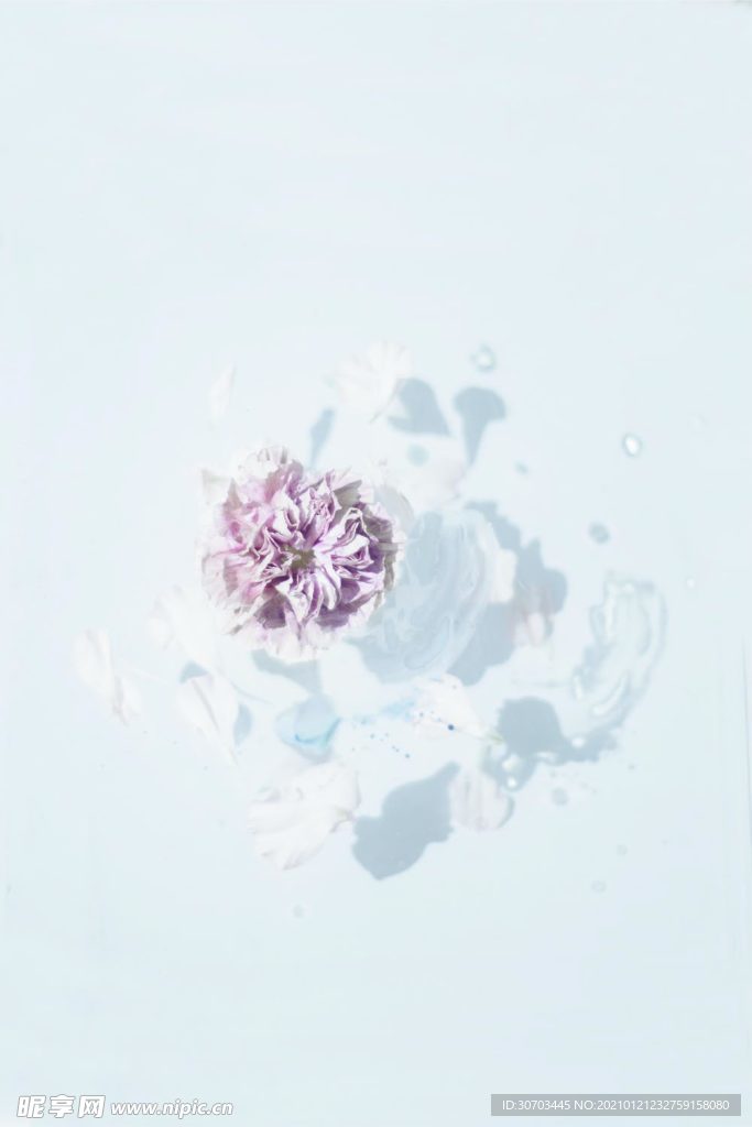 紫色花