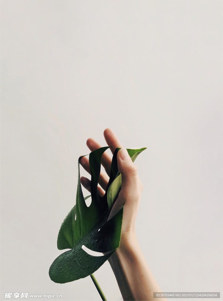 手