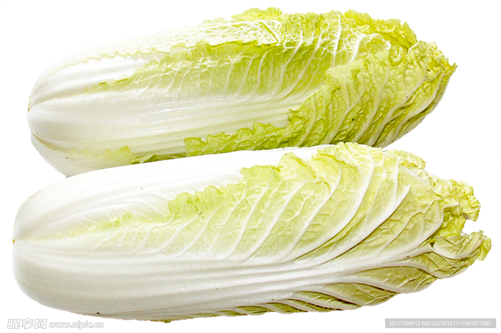 大白菜