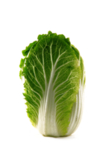 大白菜