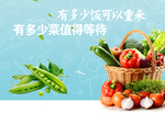 蔬菜展板