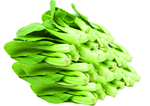 蔬菜