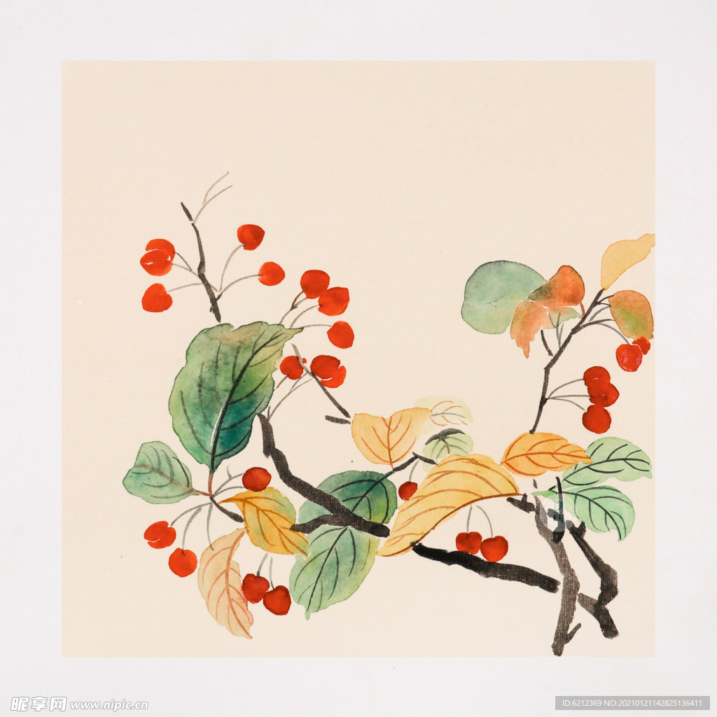国画 没骨花卉秋海棠的绘画步骤