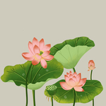 荷花