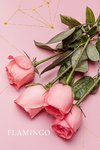 粉色玫瑰花卉装饰画
