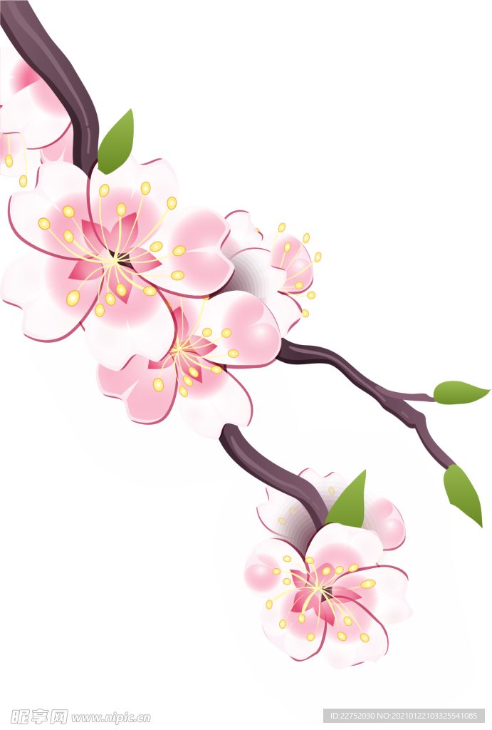 透明梅花装饰元素宣传