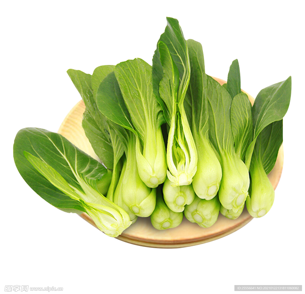小白菜 上海青