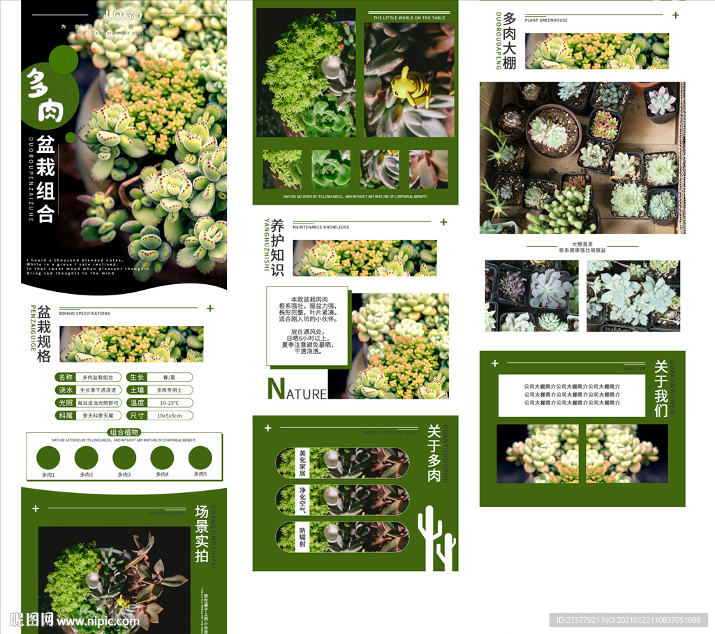 多肉详情页