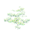 绿色植物装饰元素