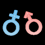 男女性图标
