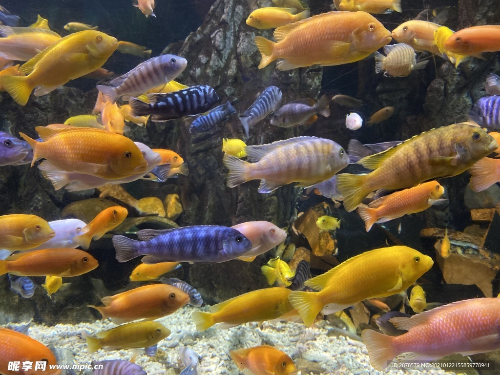 海底世界