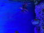 海底世界