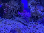 海底世界
