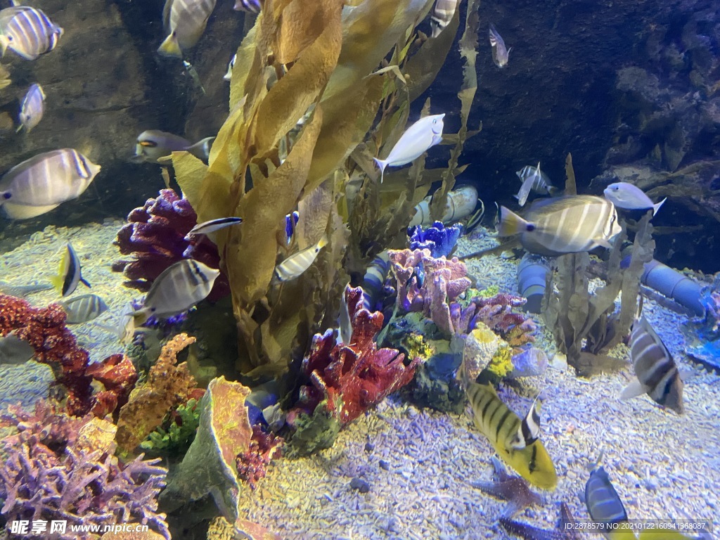 海底世界