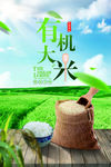 创意有机大米海报