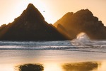 风景