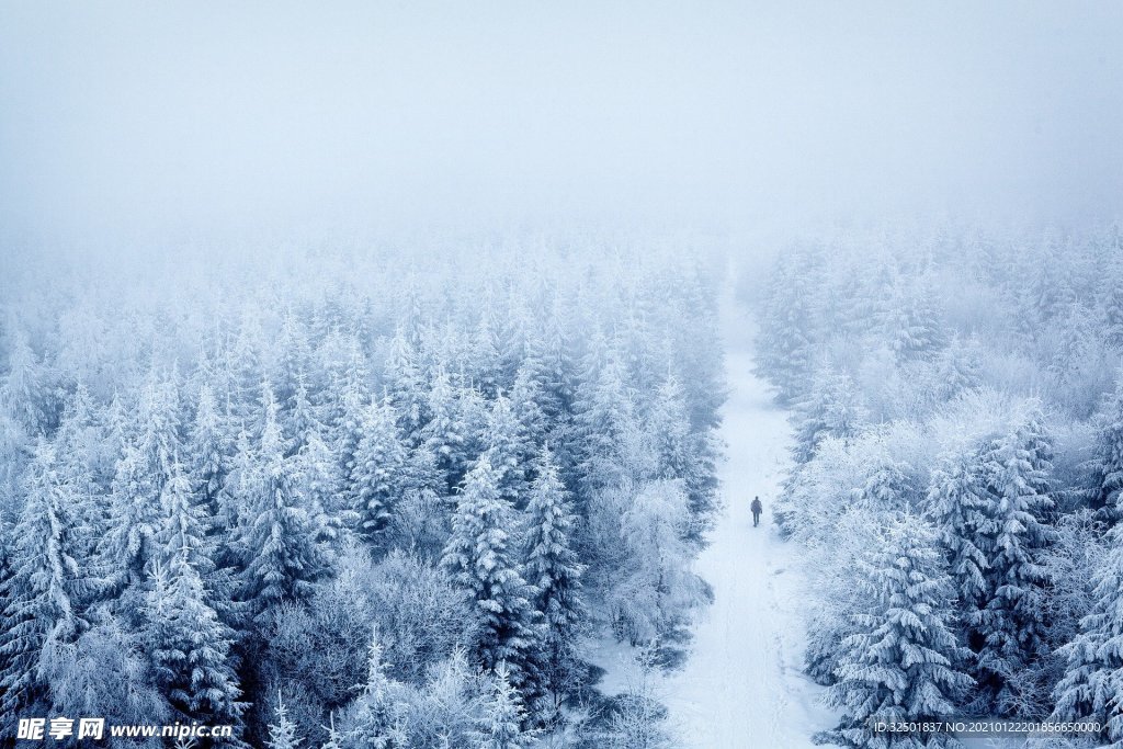 冬天森林雪山图片素材