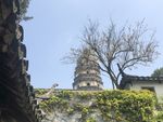 虎丘
