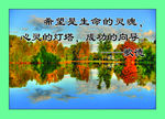 名人名言