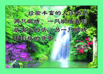 名人名言