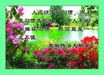 名人名言