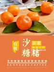 沙糖桔海报