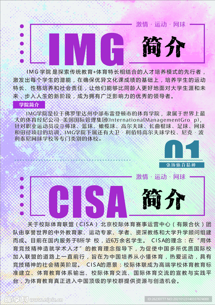 IMG CISA公司简介