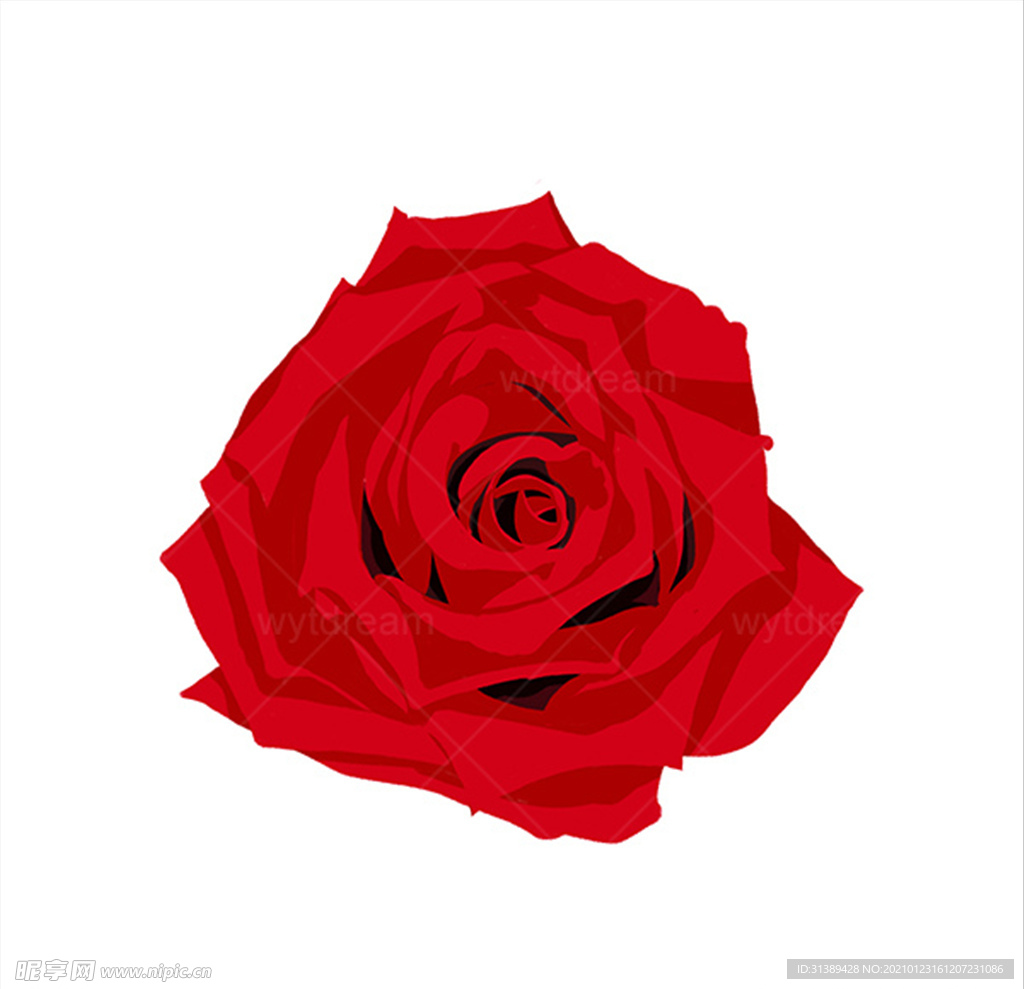 玫瑰花