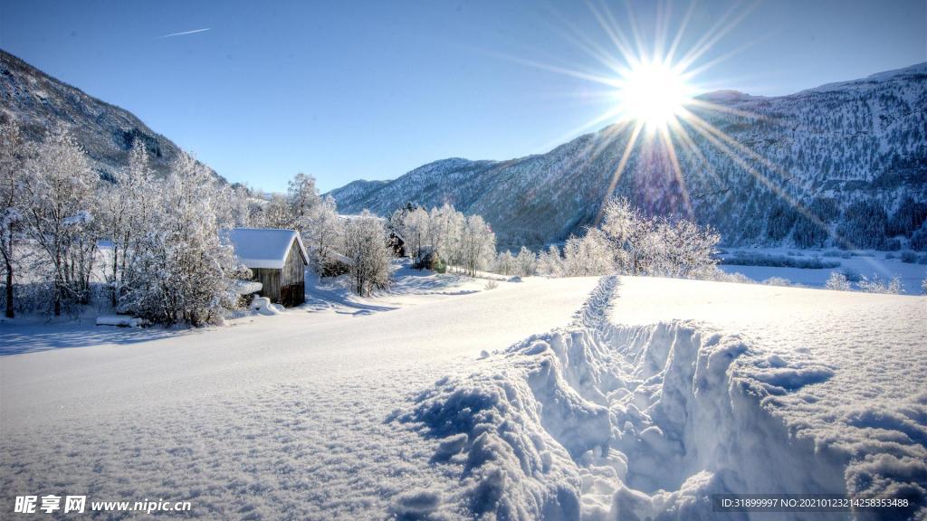 雪山丛林阳光初曦冰川