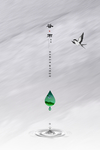 谷雨图片