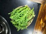 茼蒿