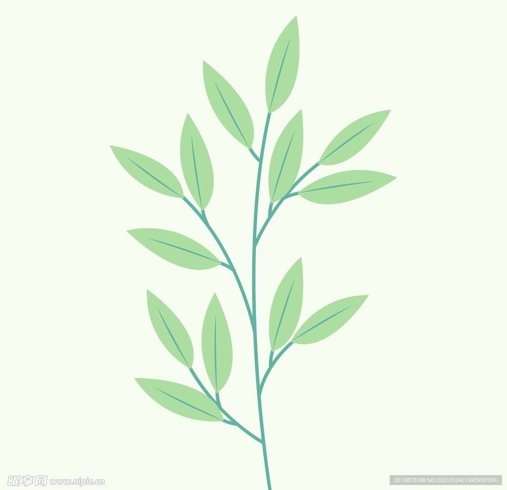 植物