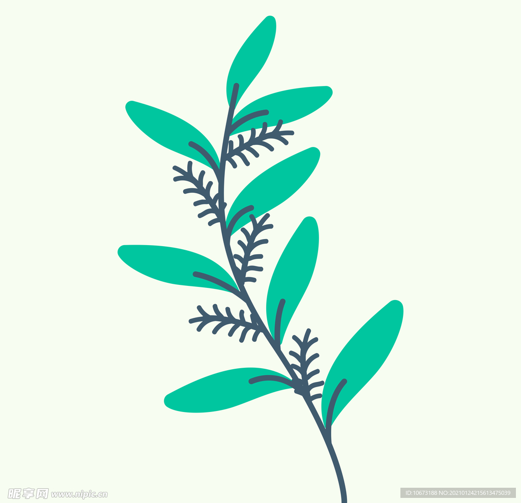 植物