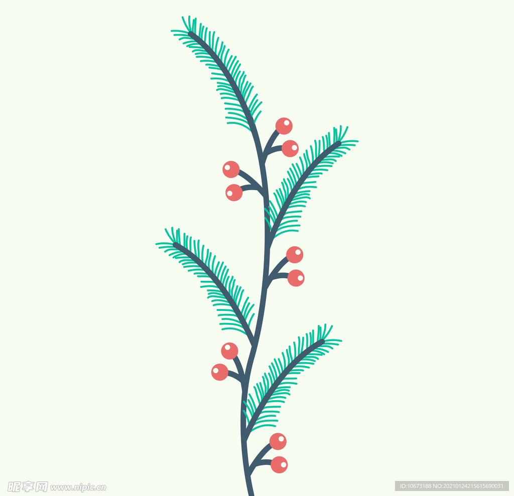植物