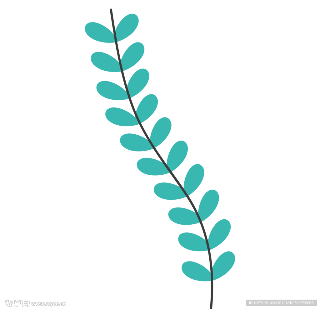 植物