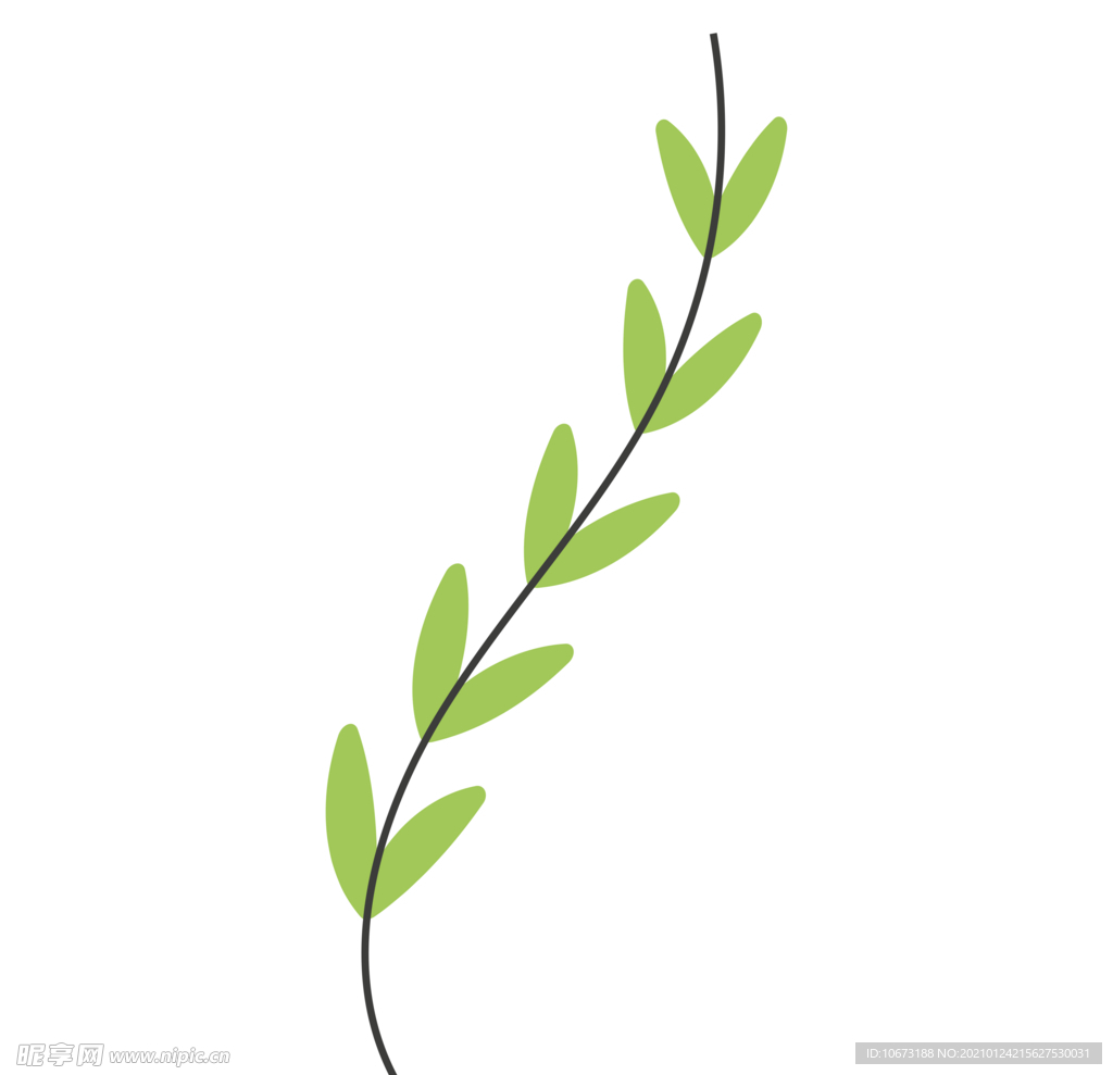 植物