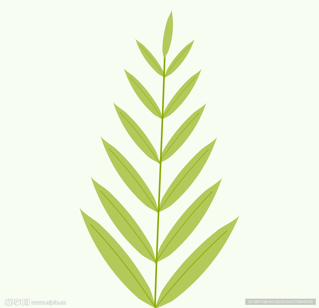 植物