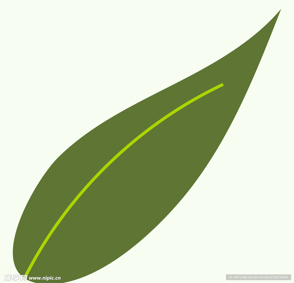 植物