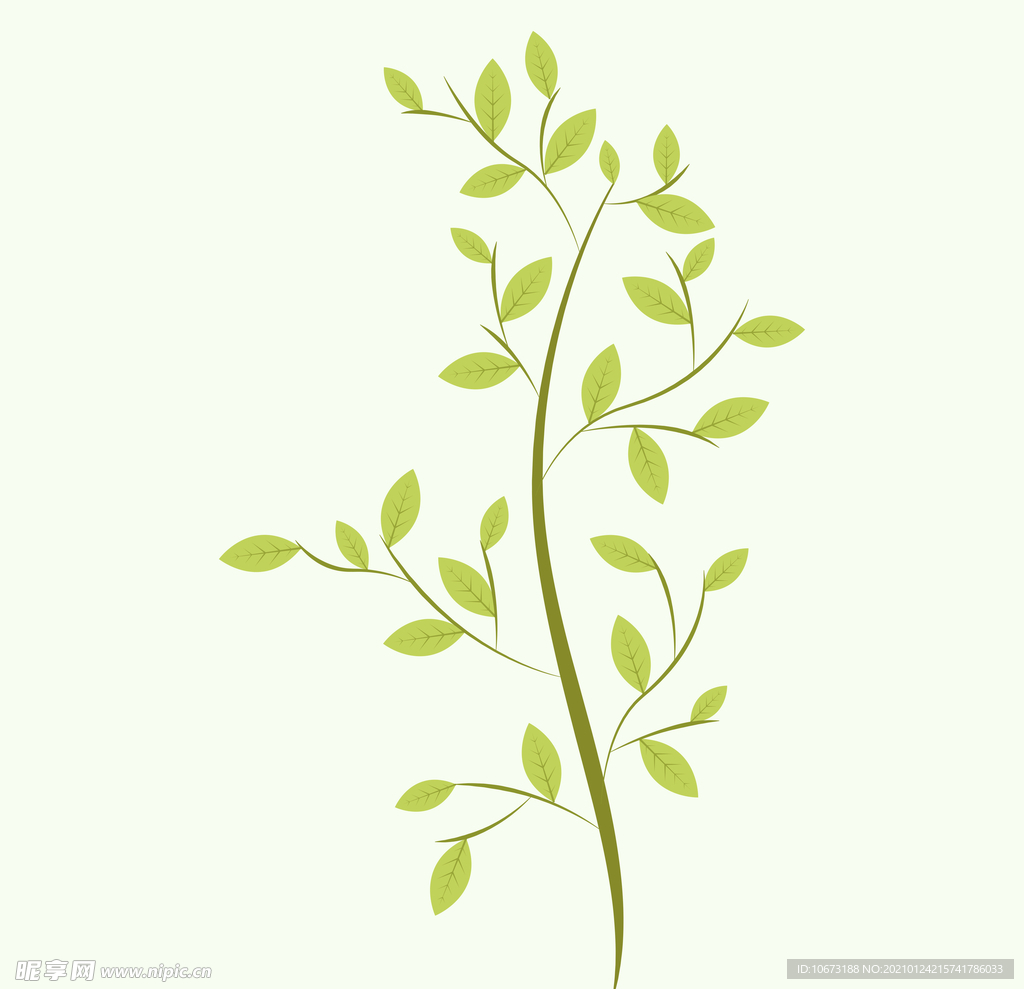 植物