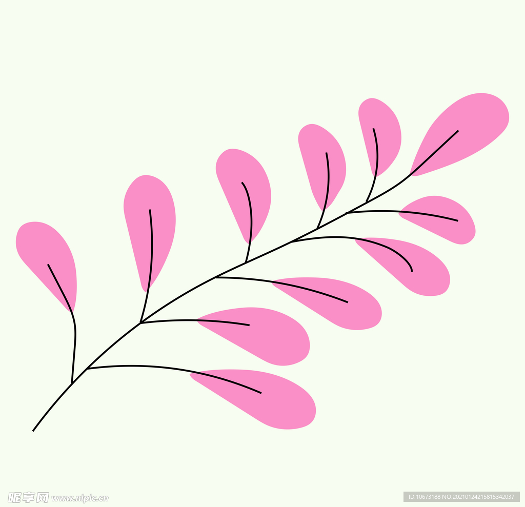 植物