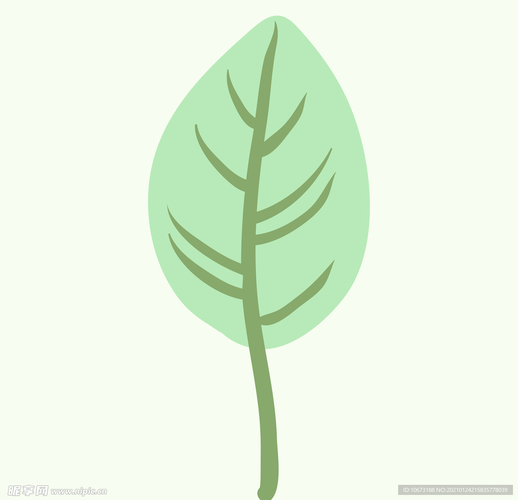 植物