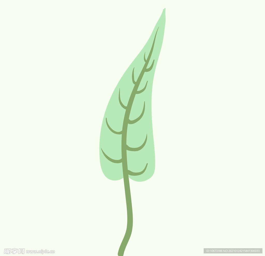 植物