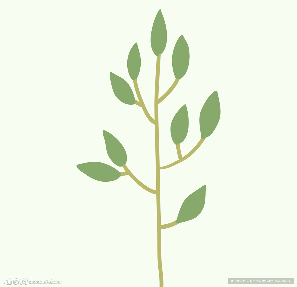 植物