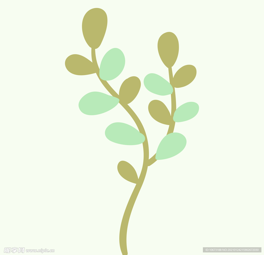 植物