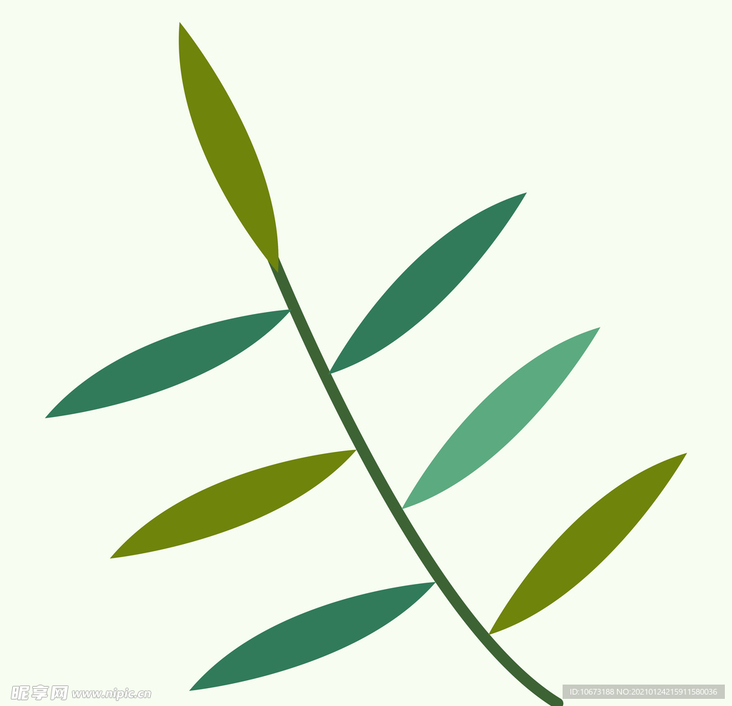 植物